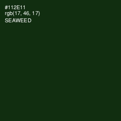 #112E11 - Seaweed Color Image