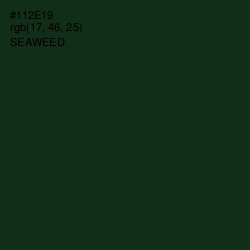 #112E19 - Seaweed Color Image