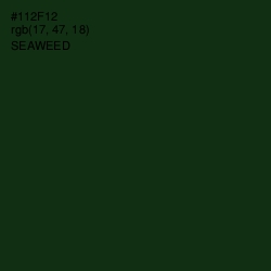 #112F12 - Seaweed Color Image