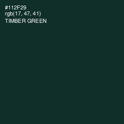 #112F29 - Timber Green Color Image