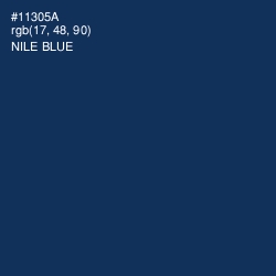 #11305A - Nile Blue Color Image