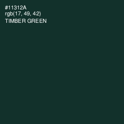#11312A - Timber Green Color Image