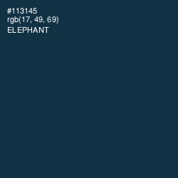 #113145 - Elephant Color Image