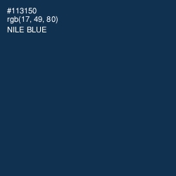 #113150 - Nile Blue Color Image
