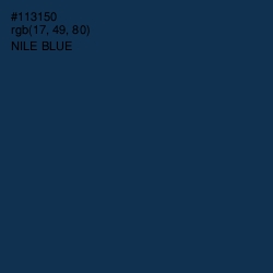 #113150 - Nile Blue Color Image