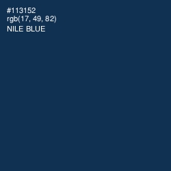 #113152 - Nile Blue Color Image