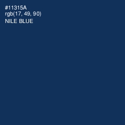 #11315A - Nile Blue Color Image