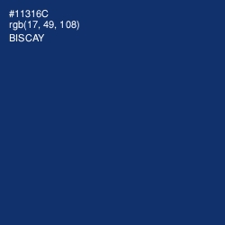 #11316C - Biscay Color Image