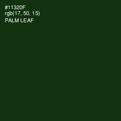 #11320F - Palm Leaf Color Image