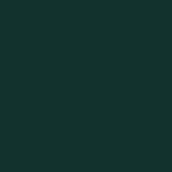 #11322D - Timber Green Color Image