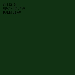 #113313 - Palm Leaf Color Image