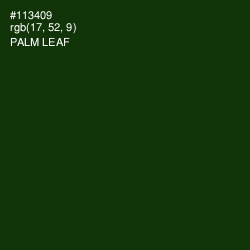 #113409 - Palm Leaf Color Image
