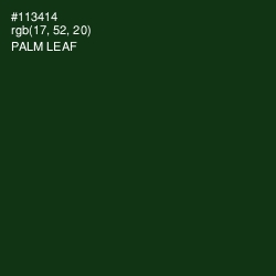 #113414 - Palm Leaf Color Image