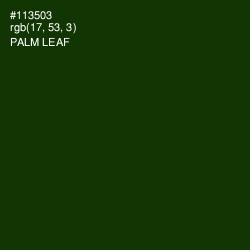 #113503 - Palm Leaf Color Image
