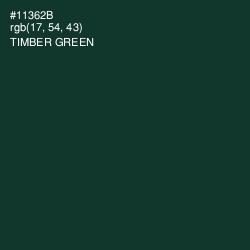 #11362B - Timber Green Color Image