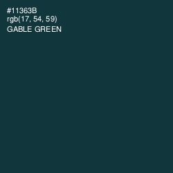 #11363B - Gable Green Color Image