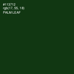 #113712 - Palm Leaf Color Image