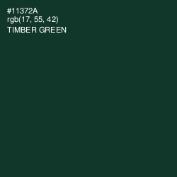 #11372A - Timber Green Color Image