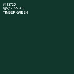 #11372D - Timber Green Color Image