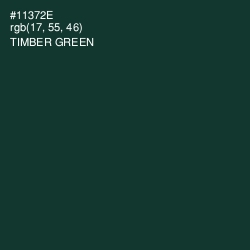 #11372E - Timber Green Color Image