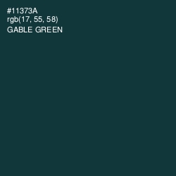 #11373A - Gable Green Color Image