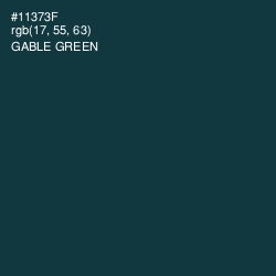 #11373F - Gable Green Color Image