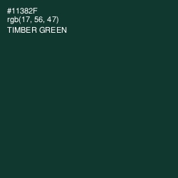 #11382F - Timber Green Color Image