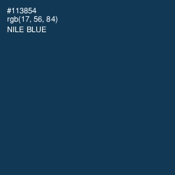 #113854 - Nile Blue Color Image