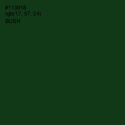 #113918 - Bush Color Image