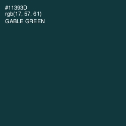 #11393D - Gable Green Color Image