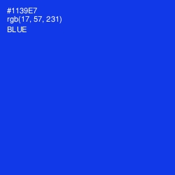 #1139E7 - Blue Color Image