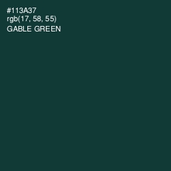 #113A37 - Gable Green Color Image