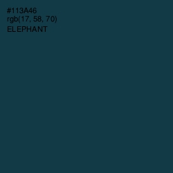 #113A46 - Elephant Color Image