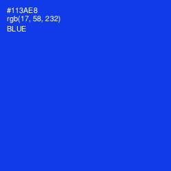 #113AE8 - Blue Color Image