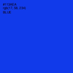 #113AEA - Blue Color Image