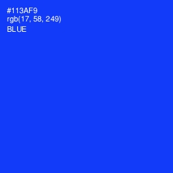 #113AF9 - Blue Color Image