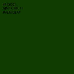 #113C01 - Palm Leaf Color Image