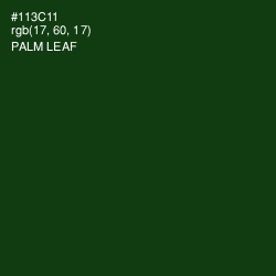 #113C11 - Palm Leaf Color Image