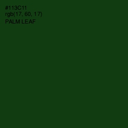 #113C11 - Palm Leaf Color Image