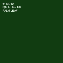#113C12 - Palm Leaf Color Image