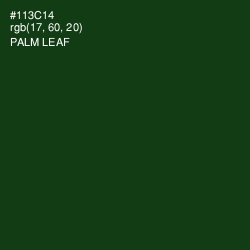 #113C14 - Palm Leaf Color Image