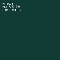 #113C35 - Gable Green Color Image