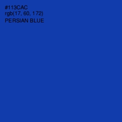 #113CAC - Persian Blue Color Image