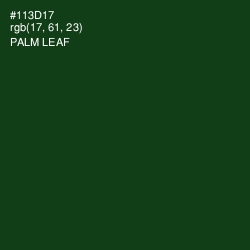 #113D17 - Palm Leaf Color Image