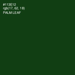 #113E12 - Palm Leaf Color Image