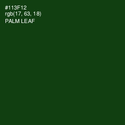 #113F12 - Palm Leaf Color Image