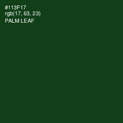 #113F17 - Palm Leaf Color Image
