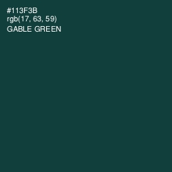 #113F3B - Gable Green Color Image