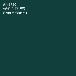 #113F3C - Gable Green Color Image