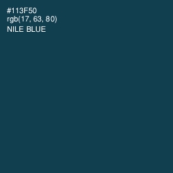 #113F50 - Nile Blue Color Image